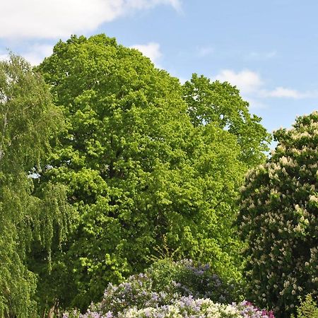 Ferienwohnungen Am Plaetlinsee Wustrow  Kültér fotó